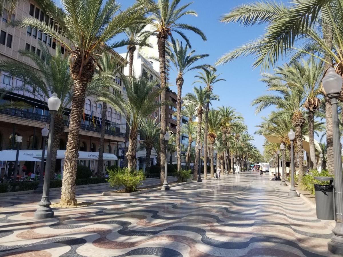 Calle Ingeniero Canales N 14, 2 Izq 03013 阿利坎特 外观 照片